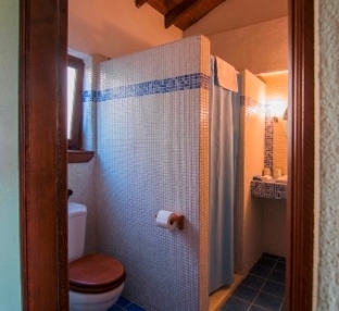 a bathroom with walk-in shower, toiletries & hairdryer